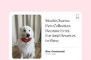 Mochi Charms Pets Collection: Because Every Fur-iend Deserves to Shine