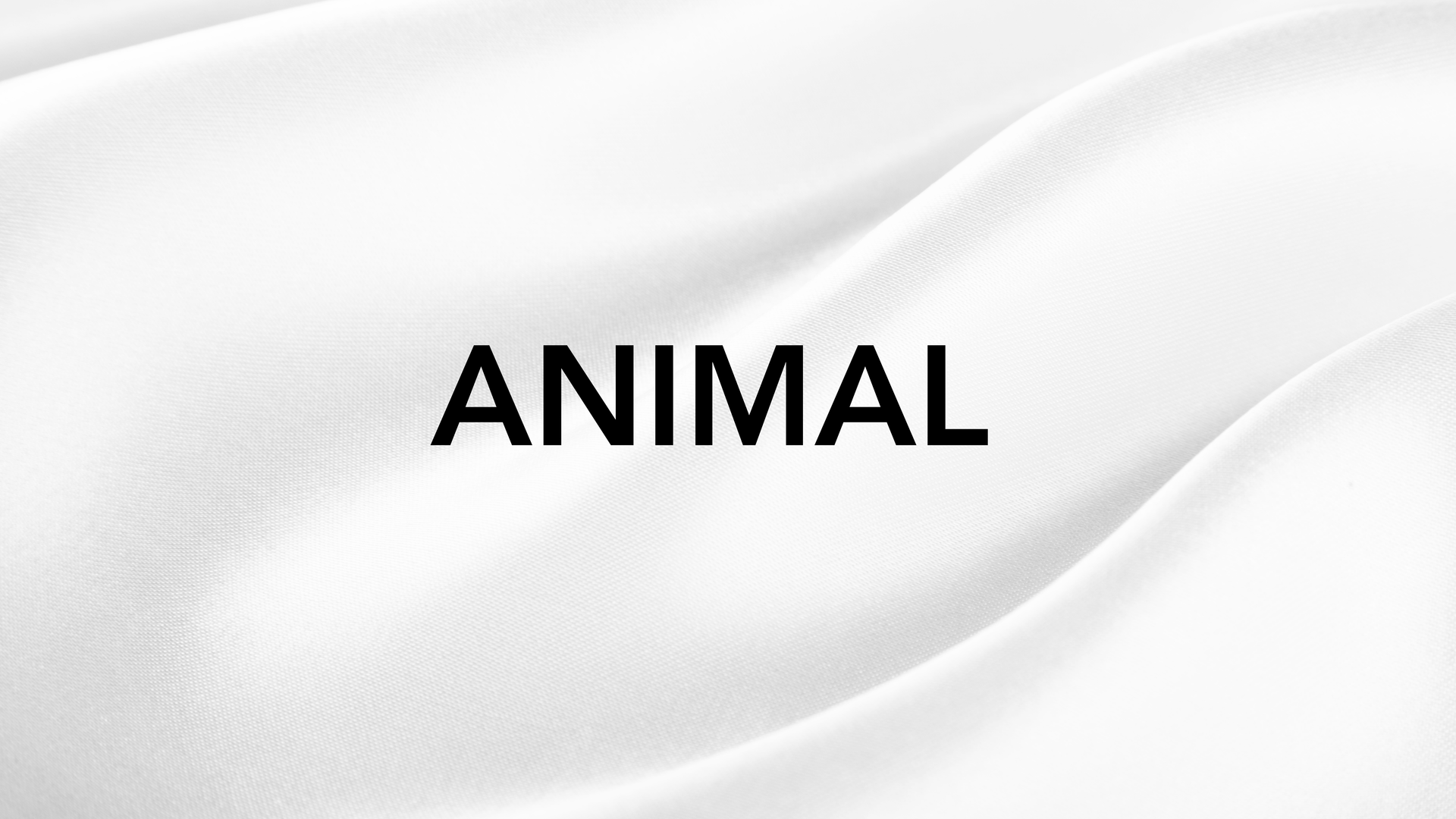 Animal Charms