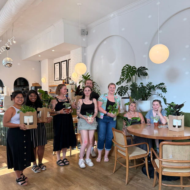 Mochi Charms Plant Bingo Night at Lay Low - September 17th, 2026
