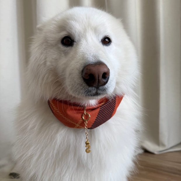 DOGG Collar Chain With Clasp (Gold)