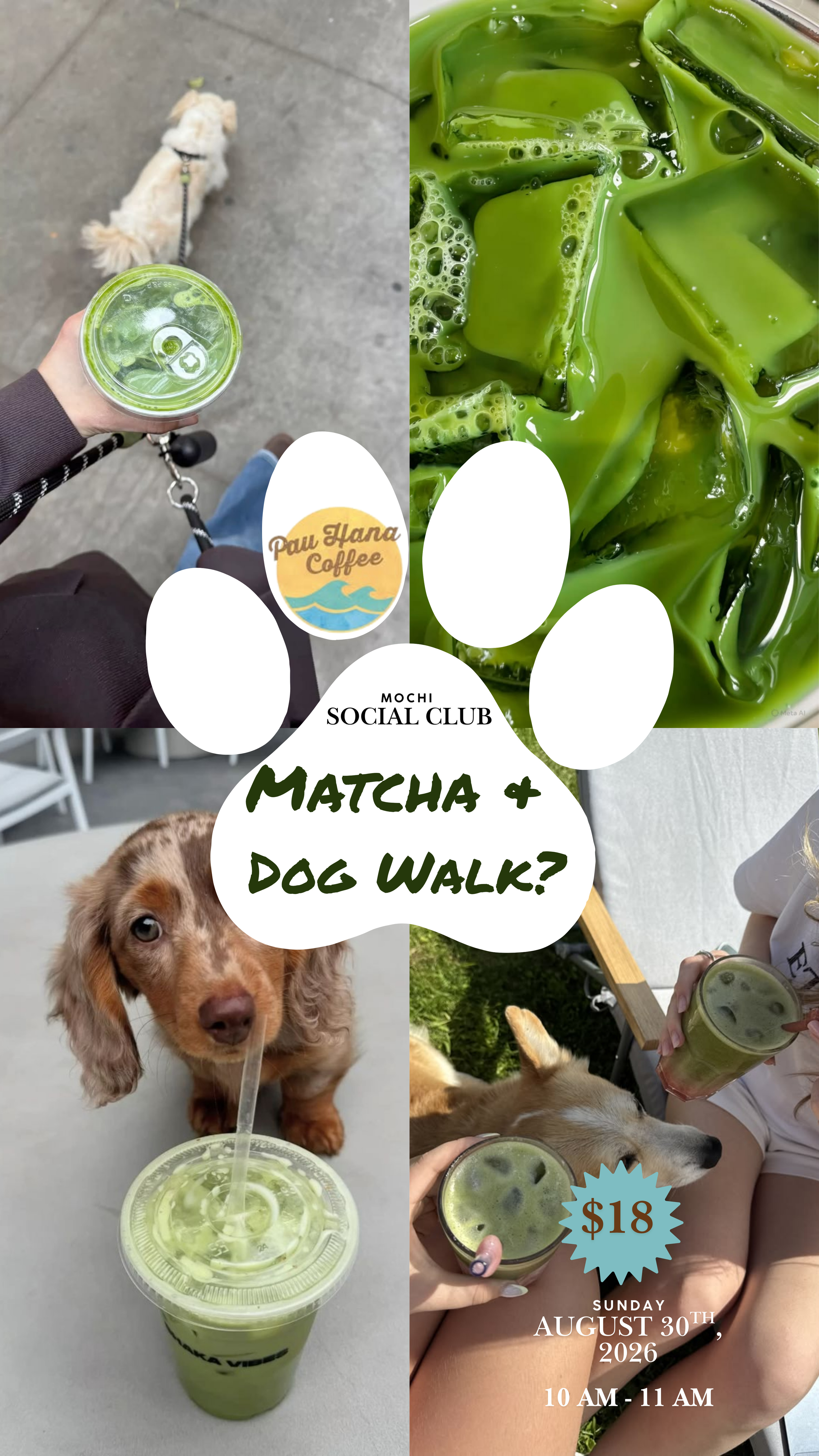 Mochi Social Walks & Coffee Club at Pau Hana Coffee