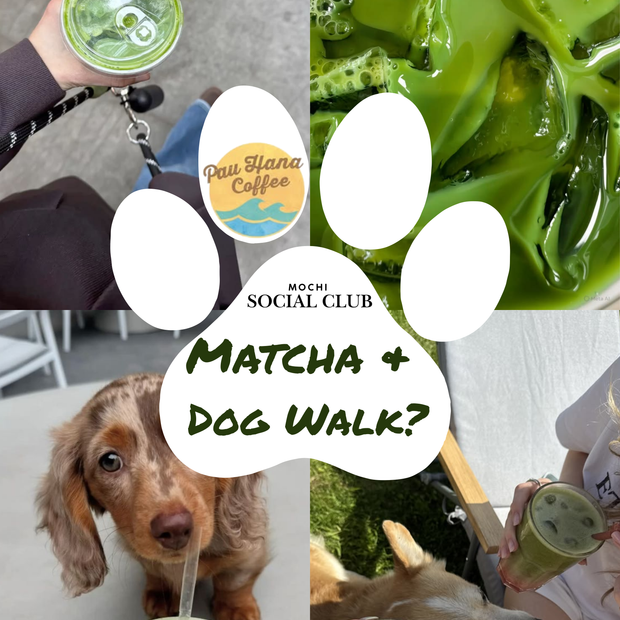 Mochi Social Walks & Coffee Club at Pau Hana Coffee