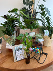Mochi Charms Plant Bingo Night at Lay Low - September 17th, 2026