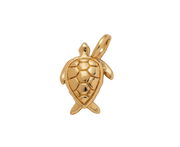 Golden Turtle Charm