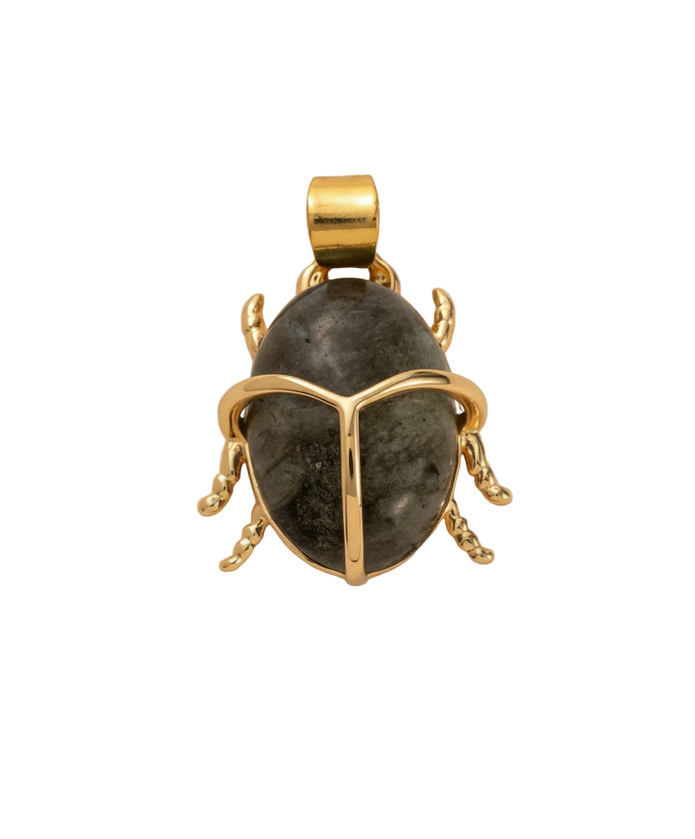 Bug with Stone Charm