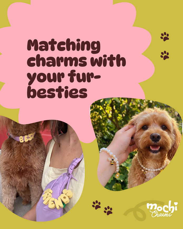 Pets Charm Bar