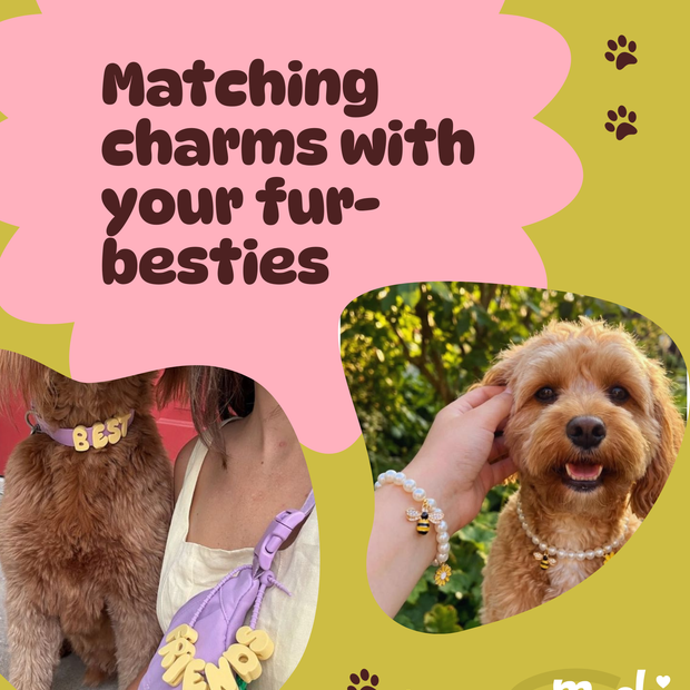 Pets Charm Bar