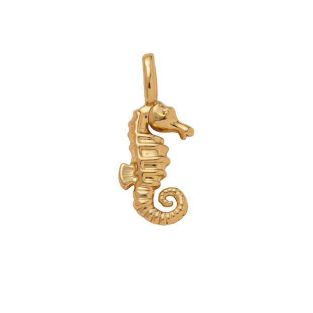 Golden Seahorse Charm