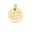 Cancer Zodiac Charm (Gold)