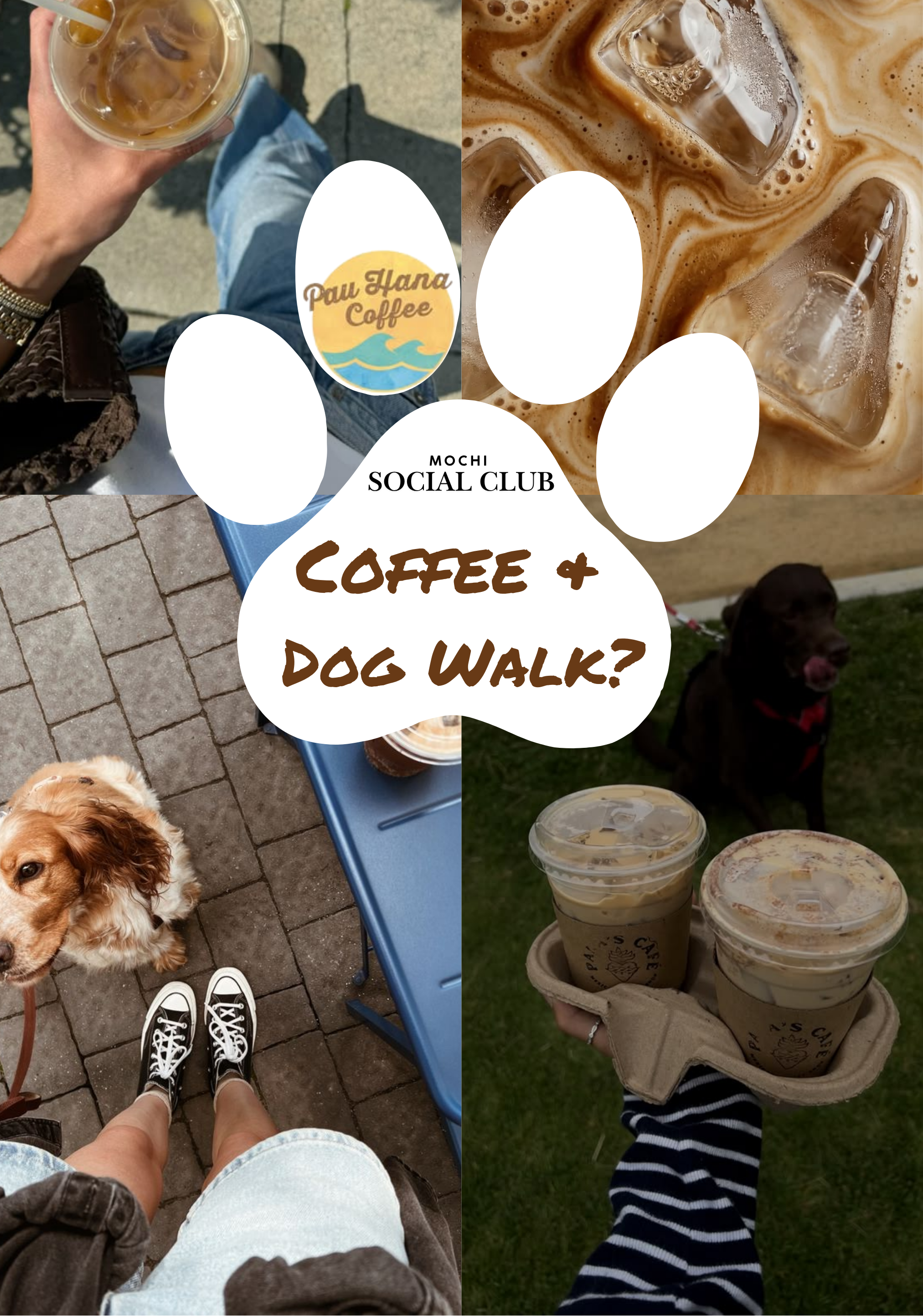 Mochi Social Walks & Coffee Club at Pau Hana Coffee