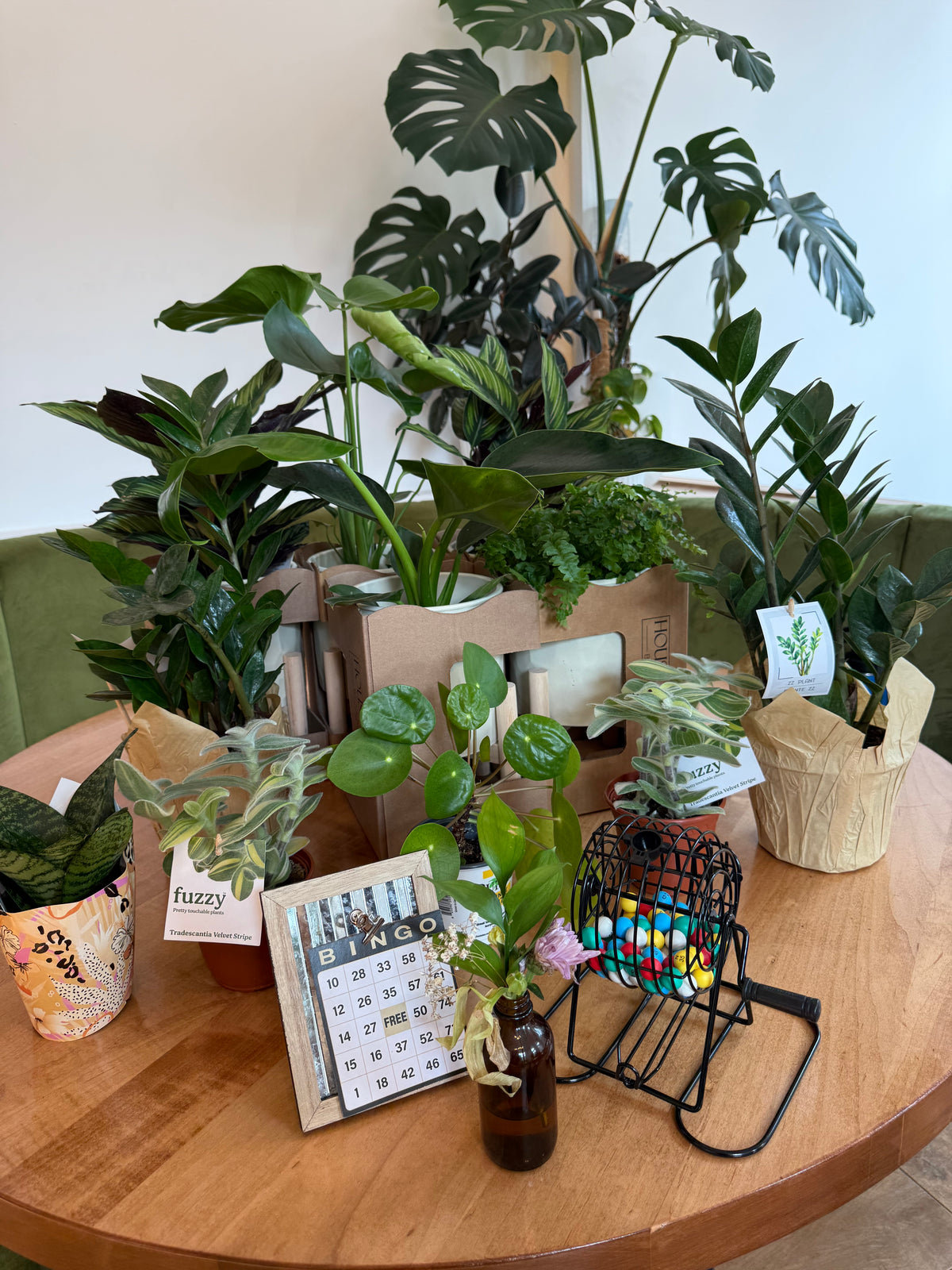 Mochi Charms Plant Bingo Night at Lay Low - September 17th, 2026