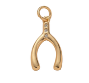 Wishbone with Diamonds Charm