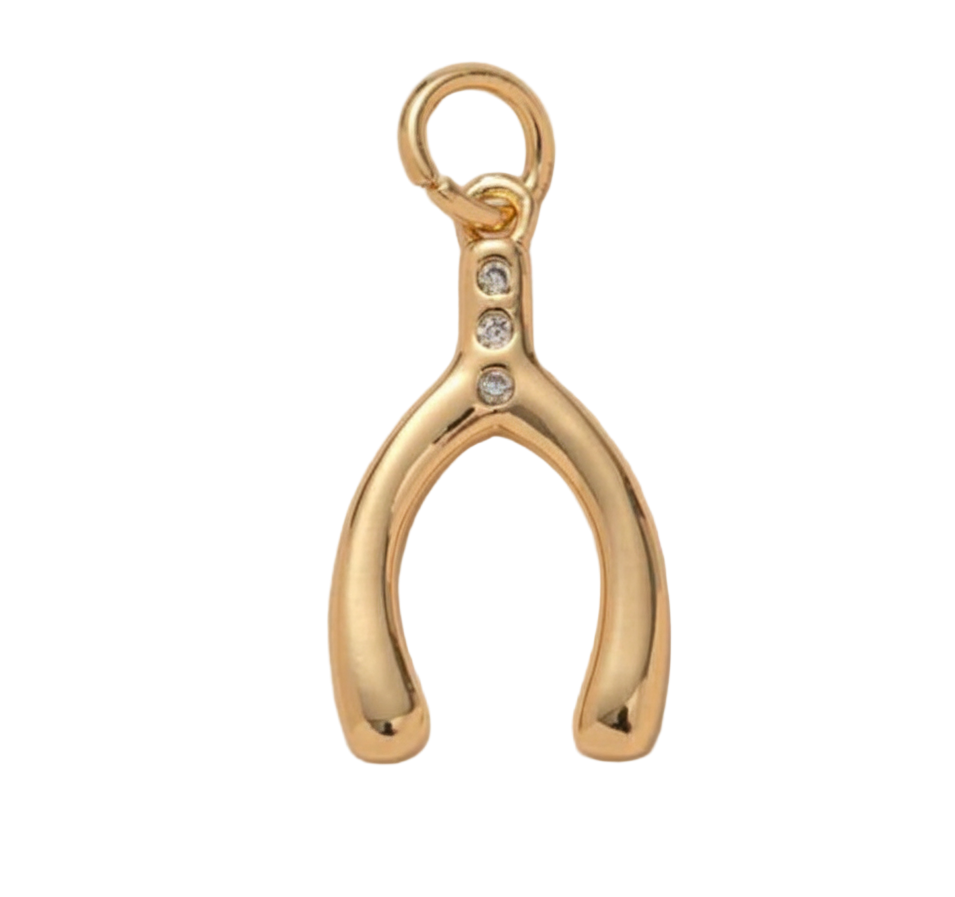 Wishbone with Diamonds Charm