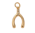 Wishbone with Diamonds Charm