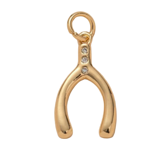 Wishbone with Diamonds Charm