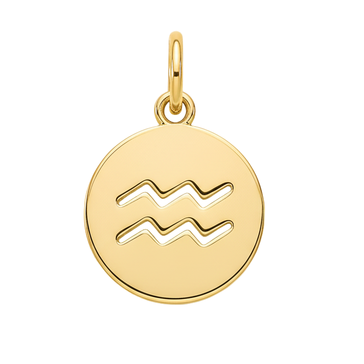 Aquarius Zodiac Charm (Gold)