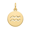 Aquarius Zodiac Charm (Gold)
