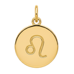 Leo Zodiac Charm (Gold)