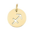 Sagittarius Zodiac Charm (Gold)