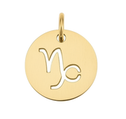 Capricorn Zodiac Charm (Gold)