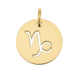 Capricorn Zodiac Charm (Gold)