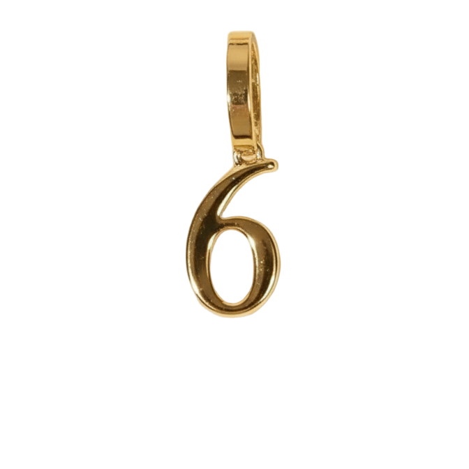 Number 6 Charms (Gold)