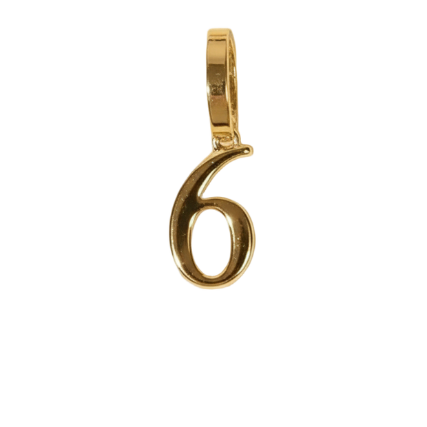 Number 6 Charms (Gold)